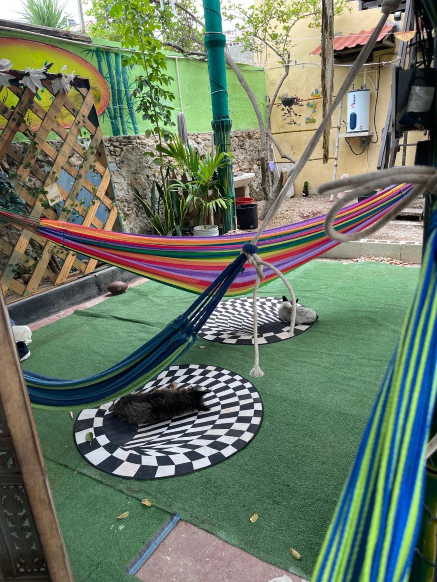 La Casa De La 12 Hostel Campeche Ngoại thất bức ảnh